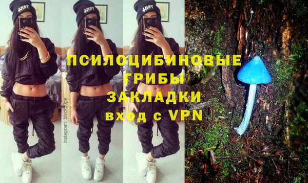 сатива Покачи