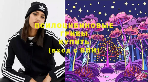 сатива Покачи