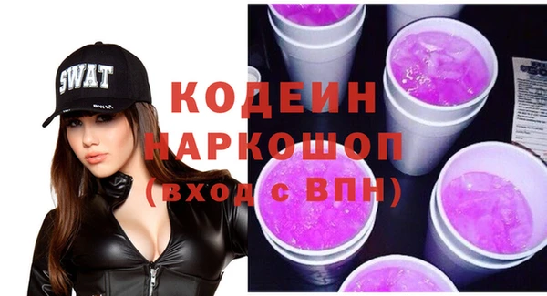 сатива Покачи