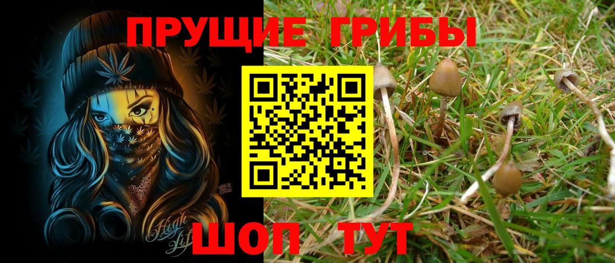 Псилоцибиновые грибы Psilocybe  Вход с VPN  Тихорецк 
